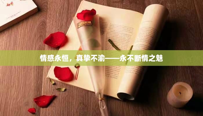 情感永恒，真摯不渝——永不斷情之魅