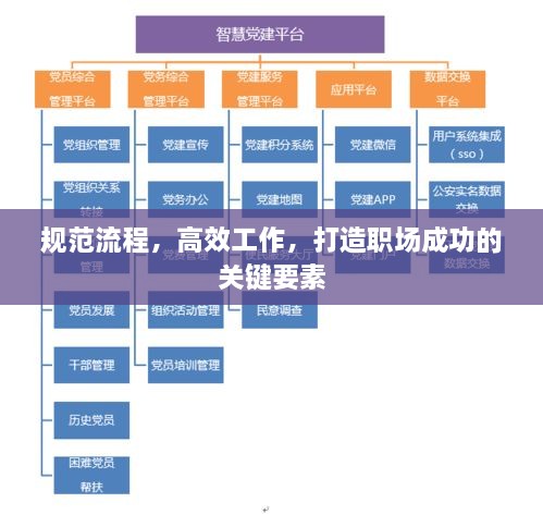 規(guī)范流程，高效工作，打造職場成功的關(guān)鍵要素