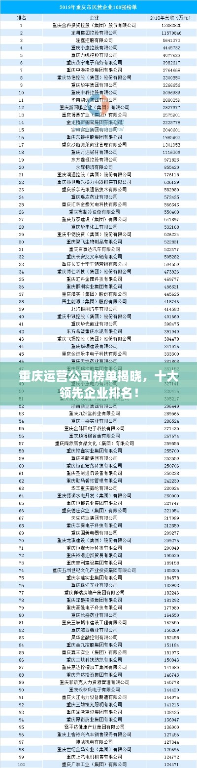 重慶運營公司榜單揭曉，十大領(lǐng)先企業(yè)排名！