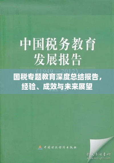 國稅專題教育深度總結(jié)報告，經(jīng)驗、成效與未來展望