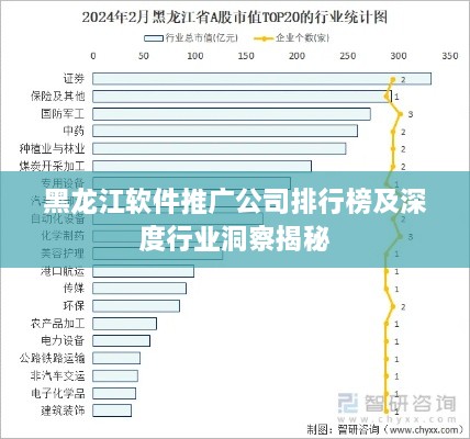黑龍江軟件推廣公司排行榜及深度行業(yè)洞察揭秘