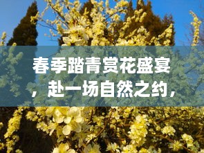 春季踏青賞花盛宴，赴一場自然之約，盡享春光爛漫！