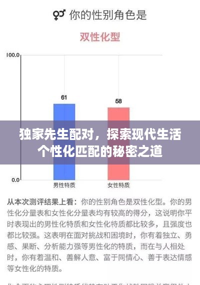 獨家先生配對，探索現(xiàn)代生活個性化匹配的秘密之道