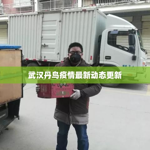 武漢丹鳥疫情最新動態(tài)更新