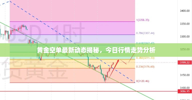 黃金空單最新動態(tài)揭秘，今日行情走勢分析