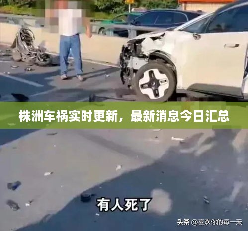 株洲車禍實(shí)時(shí)更新，最新消息今日匯總