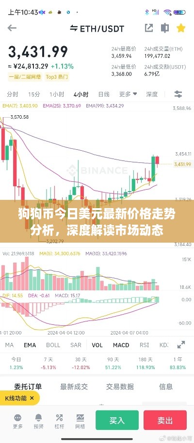 狗狗幣今日美元最新價格走勢分析，深度解讀市場動態(tài)