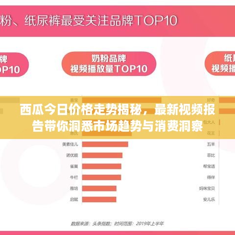 西瓜今日價格走勢揭秘，最新視頻報告帶你洞悉市場趨勢與消費洞察