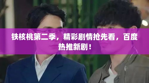 鐵核桃第二季，精彩劇情搶先看，百度熱推新劇！