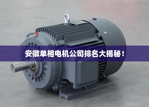 安徽單相電機(jī)公司排名大揭秘！