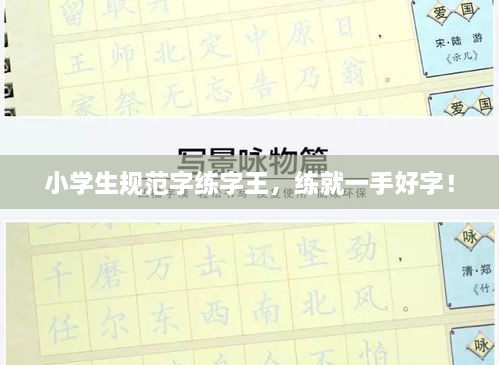小學(xué)生規(guī)范字練字王，練就一手好字！
