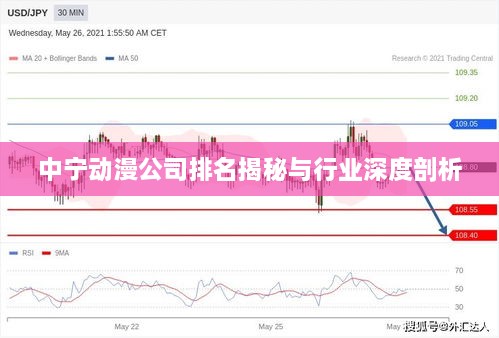 中寧動(dòng)漫公司排名揭秘與行業(yè)深度剖析