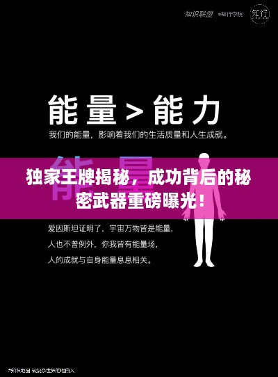 獨(dú)家王牌揭秘，成功背后的秘密武器重磅曝光！