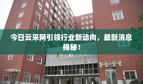 今日云采網(wǎng)引領(lǐng)行業(yè)新動向，最新消息揭秘！