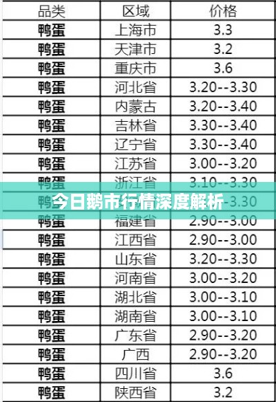 今日鵝市行情深度解析