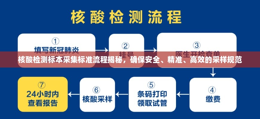 核酸檢測標(biāo)本采集標(biāo)準(zhǔn)流程揭秘，確保安全、精準(zhǔn)、高效的采樣規(guī)范