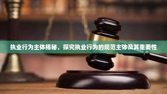 執(zhí)業(yè)行為主體揭秘，探究執(zhí)業(yè)行為的規(guī)范主體及其重要性