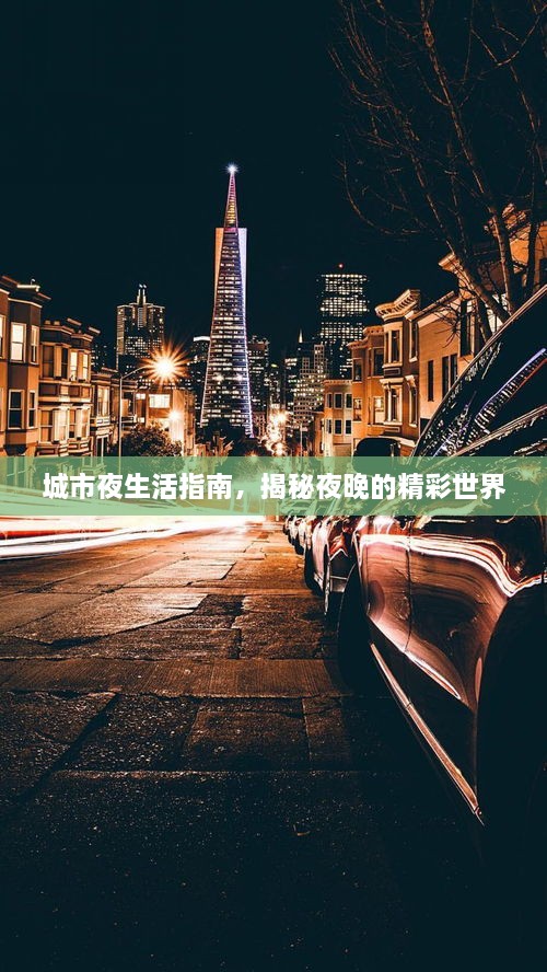 城市夜生活指南，揭秘夜晚的精彩世界