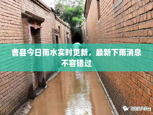 曹縣今日雨水實(shí)時(shí)更新，最新下雨消息不容錯(cuò)過