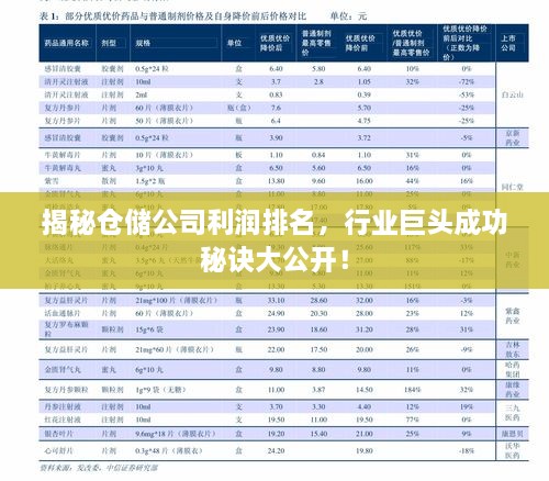 揭秘倉儲公司利潤排名，行業(yè)巨頭成功秘訣大公開！