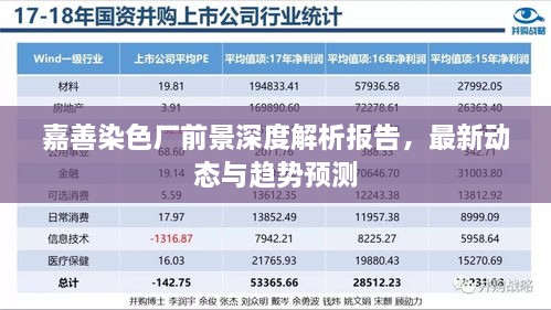 嘉善染色廠前景深度解析報(bào)告，最新動(dòng)態(tài)與趨勢(shì)預(yù)測(cè)