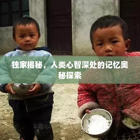 獨(dú)家揭秘，人類心智深處的記憶奧秘探索