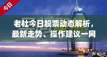 老杜今日股票動態(tài)解析，最新走勢、操作建議一網(wǎng)打盡