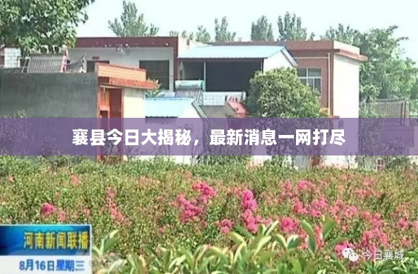 襄縣今日大揭秘，最新消息一網(wǎng)打盡