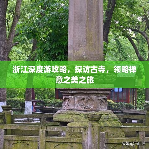 浙江深度游攻略，探訪古寺，領(lǐng)略禪意之美之旅