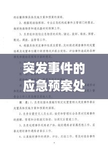 突發(fā)事件的應(yīng)急預(yù)案處理范疇，全面應(yīng)對(duì)，保障安全