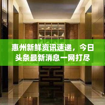 惠州新鮮資訊速遞，今日頭條最新消息一網(wǎng)打盡