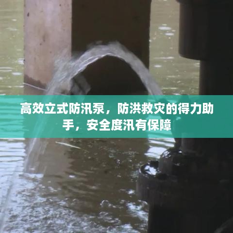 高效立式防汛泵，防洪救災(zāi)的得力助手，安全度汛有保障