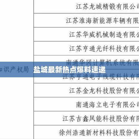 鹽城最新熱點(diǎn)爆料速遞