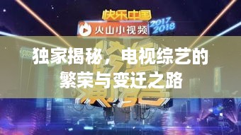 獨家揭秘，電視綜藝的繁榮與變遷之路