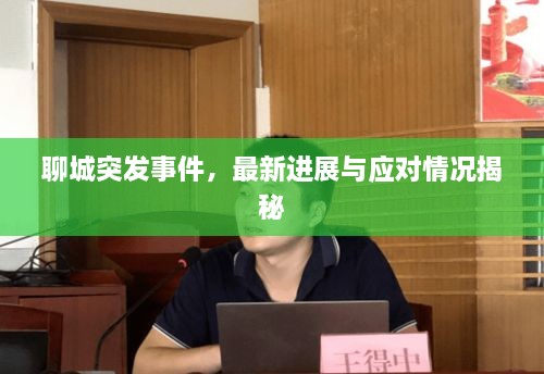 聊城突發(fā)事件，最新進(jìn)展與應(yīng)對(duì)情況揭秘