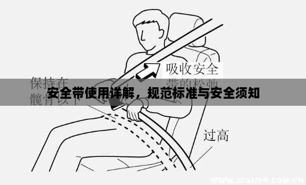 安全帶使用詳解，規(guī)范標(biāo)準(zhǔn)與安全須知