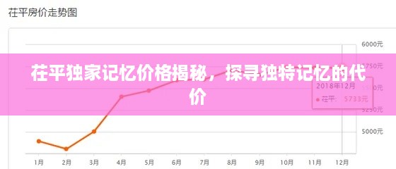 茌平獨(dú)家記憶價(jià)格揭秘，探尋獨(dú)特記憶的代價(jià)