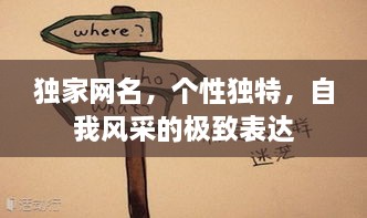 獨家網(wǎng)名，個性獨特，自我風(fēng)采的極致表達(dá)