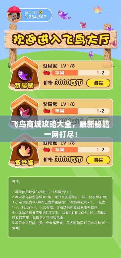 飛鳥商城攻略大全，最新秘籍一網(wǎng)打盡！
