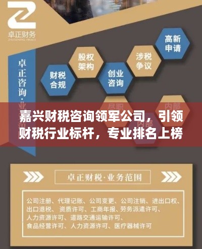 嘉興財(cái)稅咨詢領(lǐng)軍公司，引領(lǐng)財(cái)稅行業(yè)標(biāo)桿，專業(yè)排名上榜之選