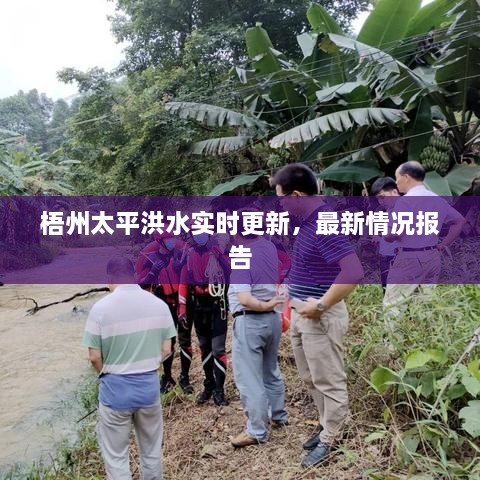 梧州太平洪水實(shí)時更新，最新情況報告