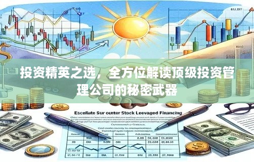 投資精英之選，全方位解讀頂級(jí)投資管理公司的秘密武器