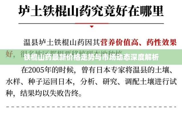 鐵棍山藥最新價格走勢與市場動態(tài)深度解析
