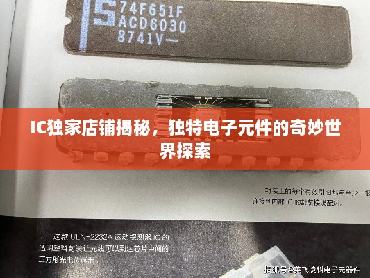 IC獨家店鋪揭秘，獨特電子元件的奇妙世界探索