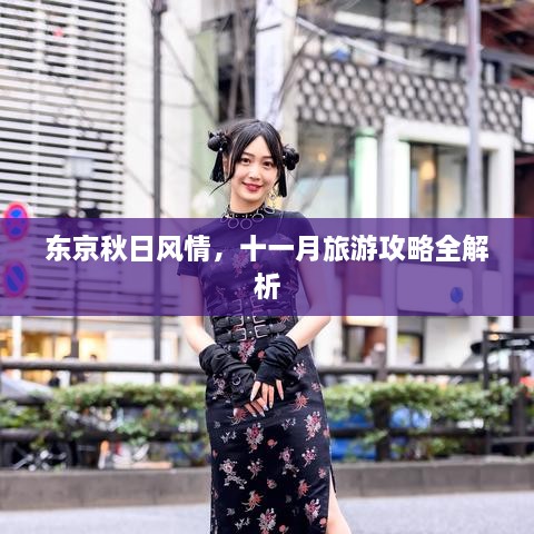 東京秋日風(fēng)情，十一月旅游攻略全解析